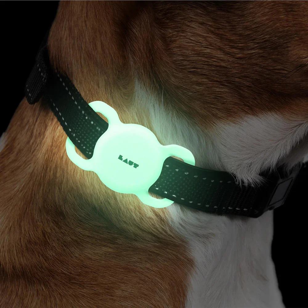 Laut Pet Tag fyrir AirTag Glow in Dark
