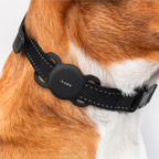 Laut Pet Tag fyrir AirTag Black