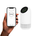 Hombli Smart Air Lofthreinsitæki